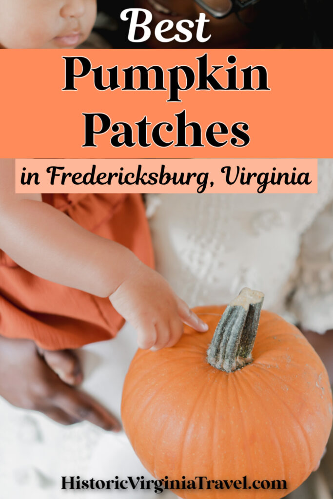 A close-up of someone's hand holding a pumpkin, with text overlay stating "Best Pumpkin Patches in Fredericksburg, Virginia" and a website URL "HistoricVirginiaTravel.com".