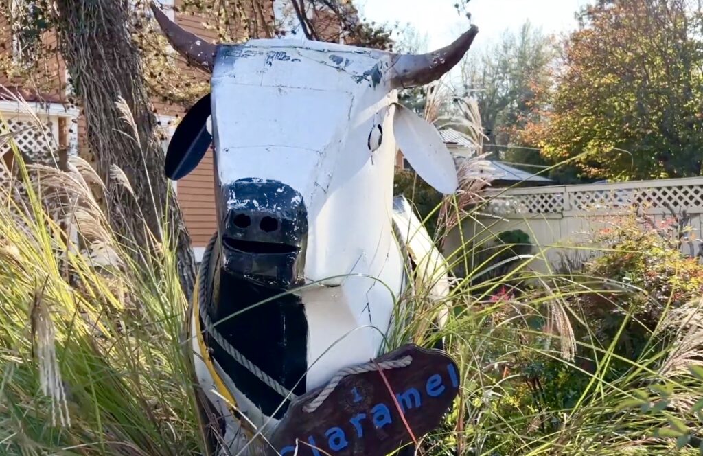 A metal cow sculpture stands among tall grass, holding a wooden sign that reads "Marane" in blue letters&mdash;a quirky landmark for those wondering where to eat in Clifton VA.