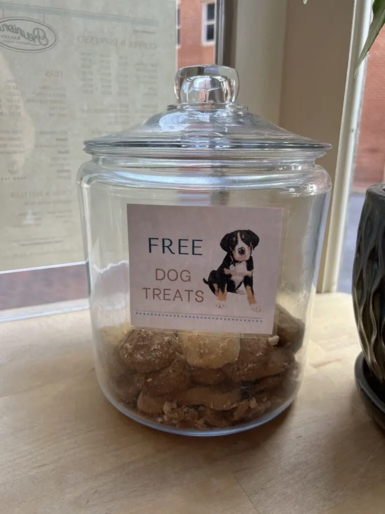 A glass jar filled with dog treats is labeled "FREE DOG TREATS" and features an image of a puppy. The jar is placed on a wooden surface near a menu and a window.