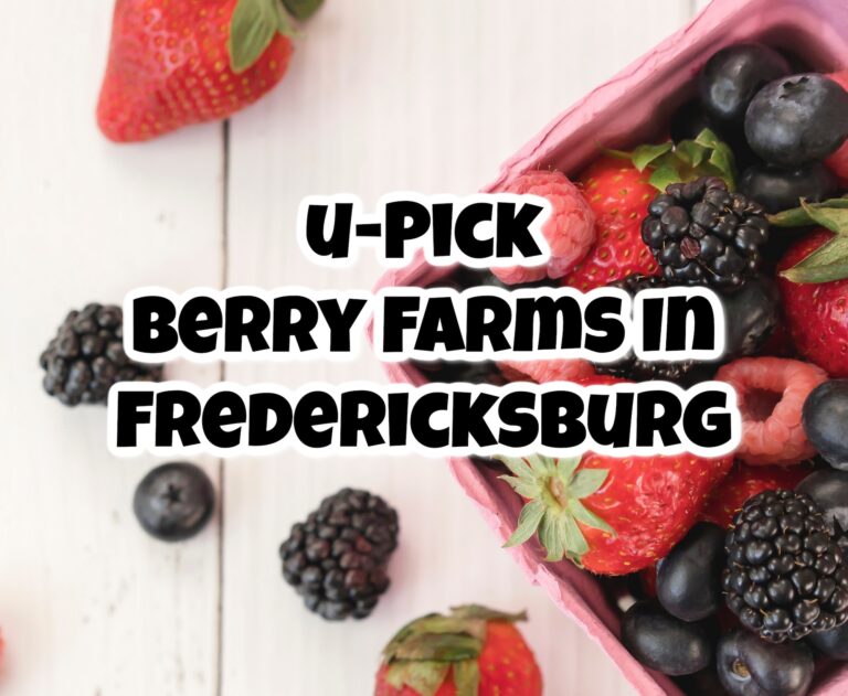 A carton of assorted fresh berries on a white table with text overlay: "U-Pick Berry Farms in Fredericksburg.
