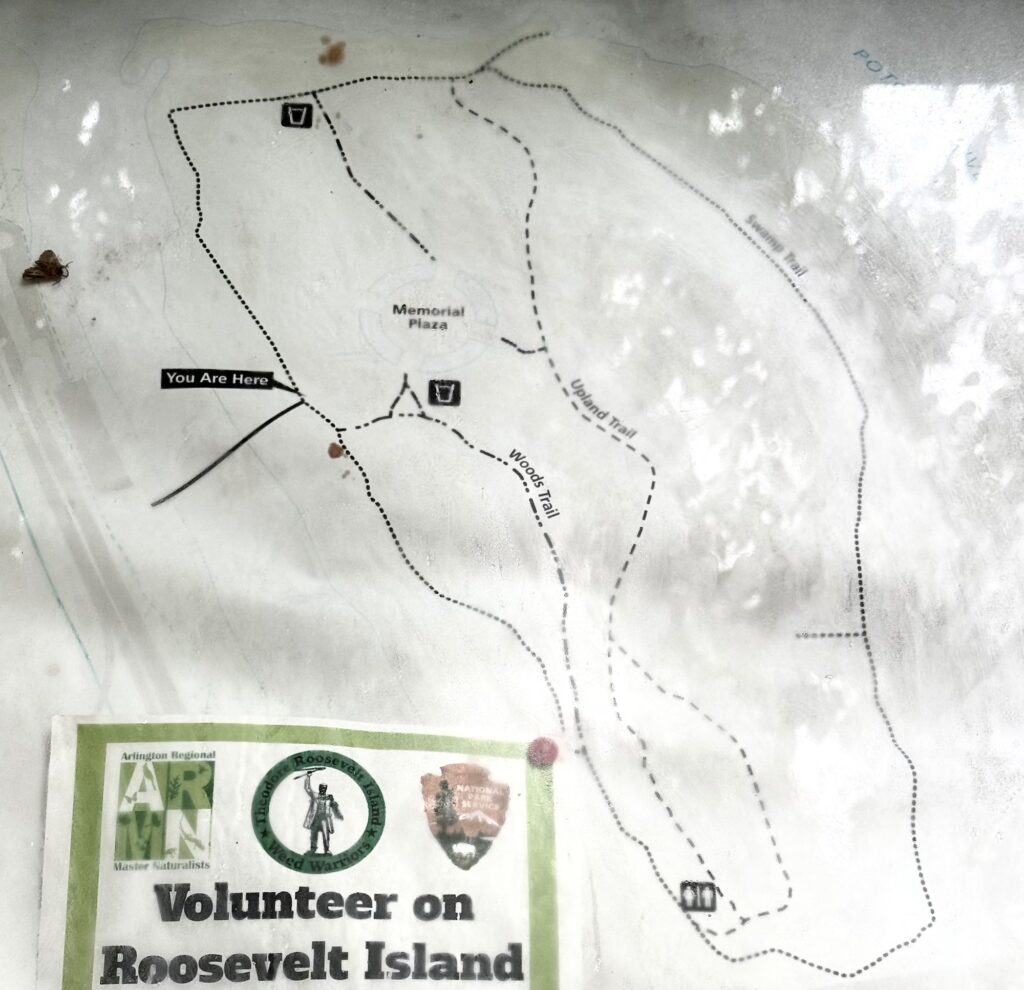 A trail map of Roosevelt Island shows marked paths, a "You Are Here" label, Memorial Plaza, and volunteer information in the lower left corner.